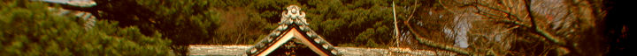 Momo Uta 309