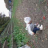 [32]2008/11/9 - 小さい人のいる風景 (11月09日掲載)